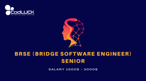 BrSE (Bridge Software Engineer) – Senior