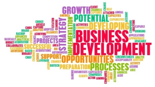 Business Development Executive (Japan Market)