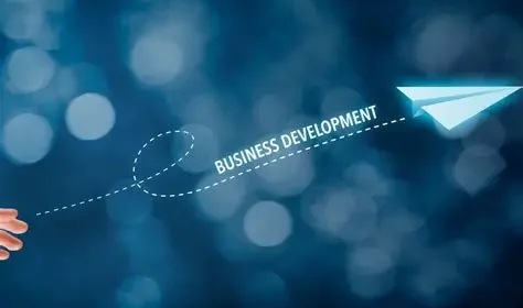 Business Development Manager