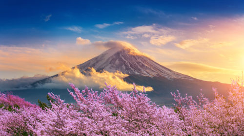 Business Development Executive (Japan Market)